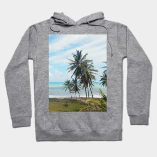 Coconut Tree on the beach Hoodie